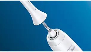 PHILIPS HX6042/33 Dantų šepetėlio antgaliai